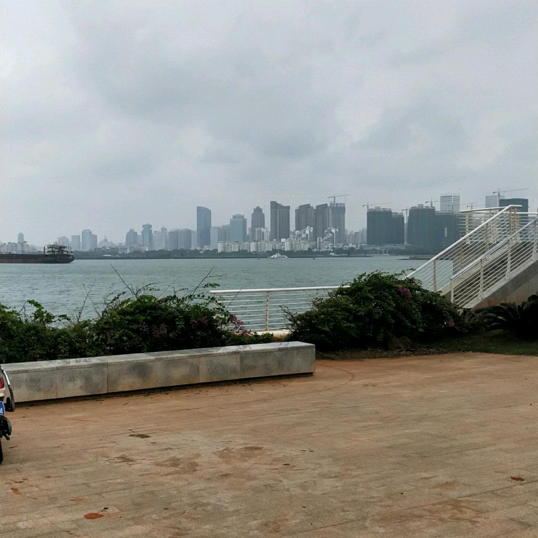 消失中的海燕