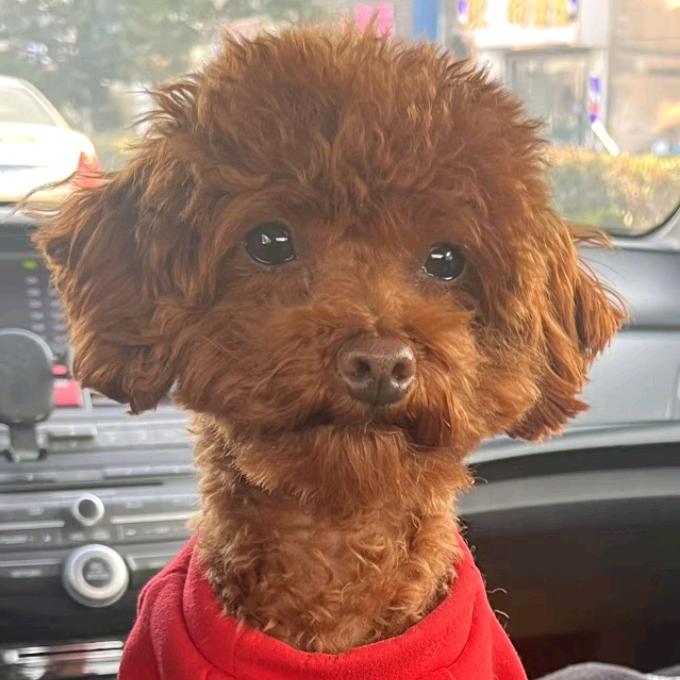 李乐乐的昆明之旅