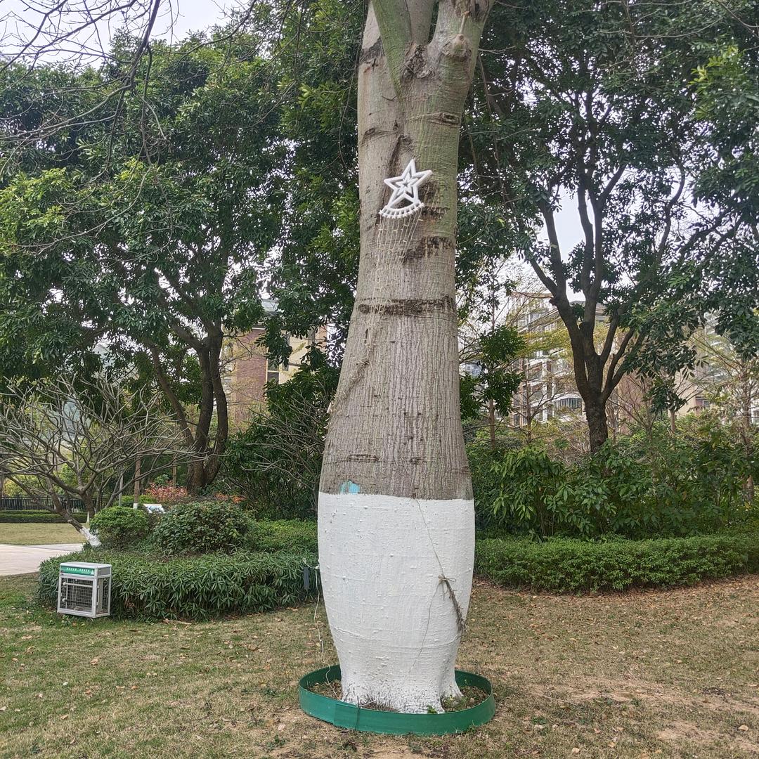 在等个不可能