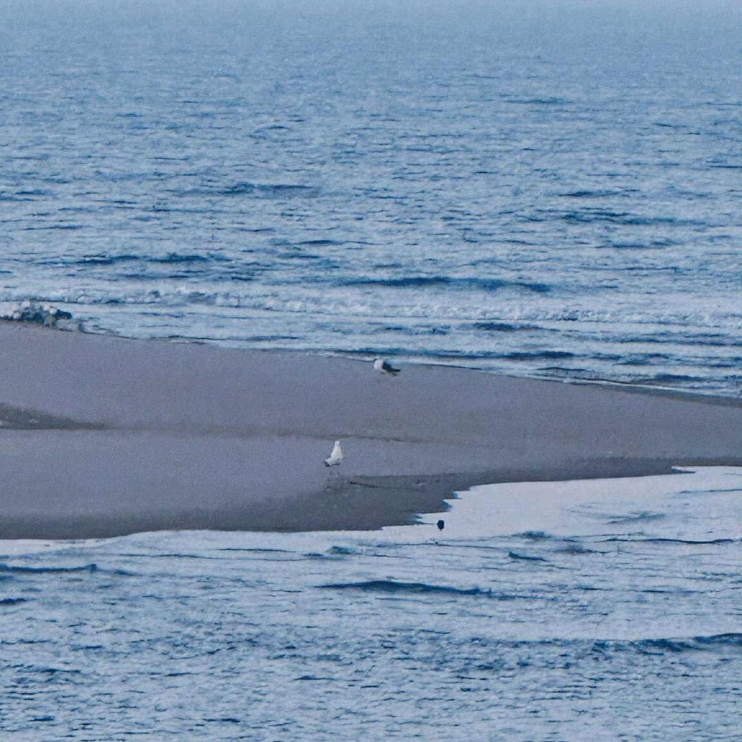 泰晤士河的雾信