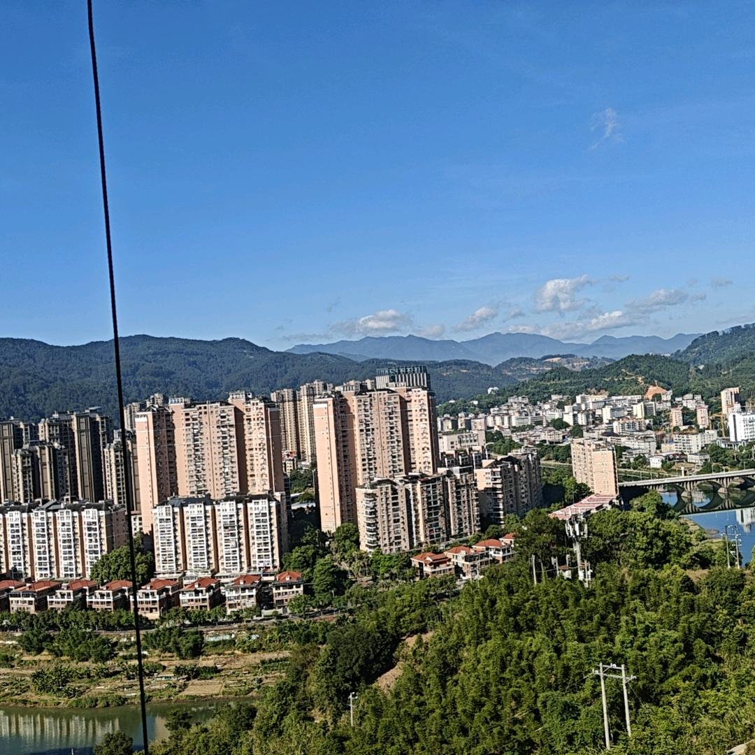 龙在飞