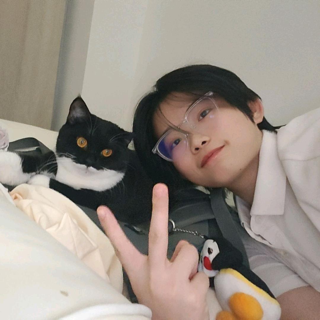 🌈 企鹅老大（国赛双冠版）