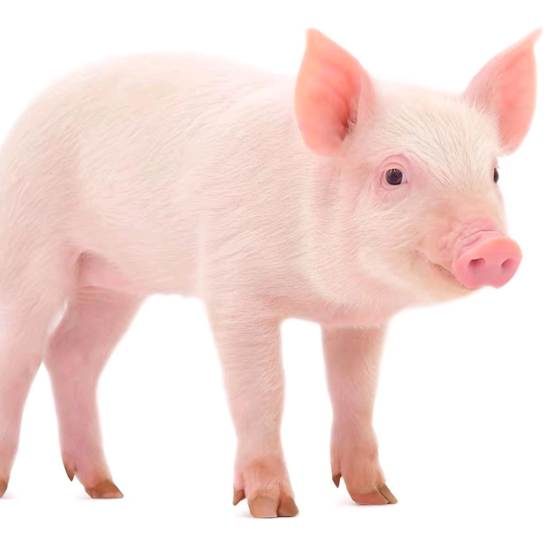 治好了也流口水