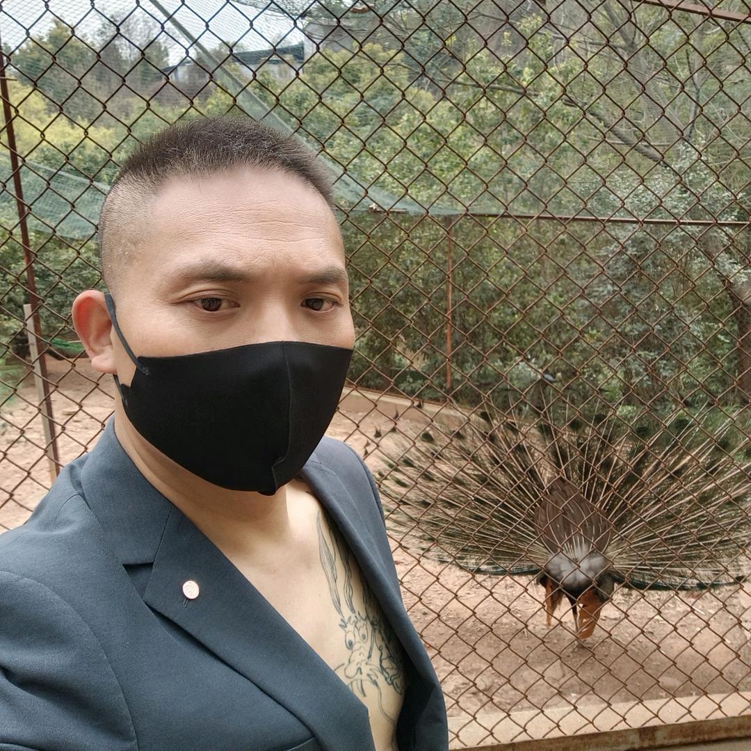 🌿硬汉传奇🌿