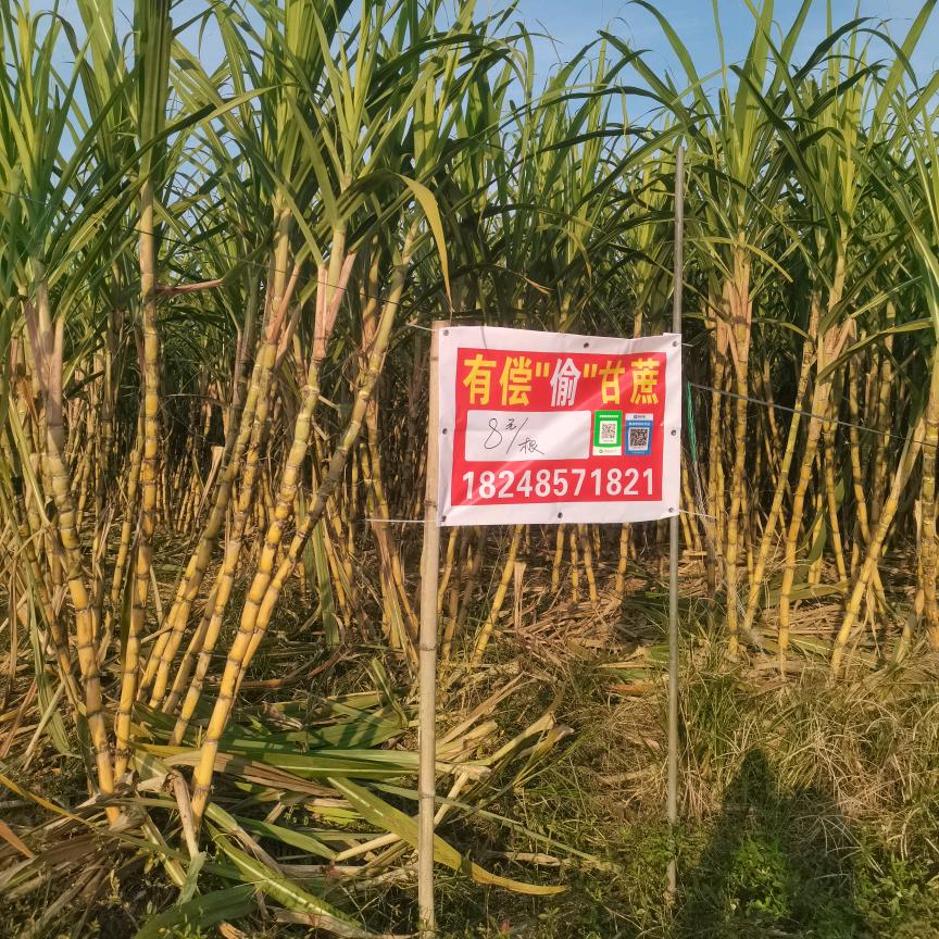 顾源安装维修装饰服务部