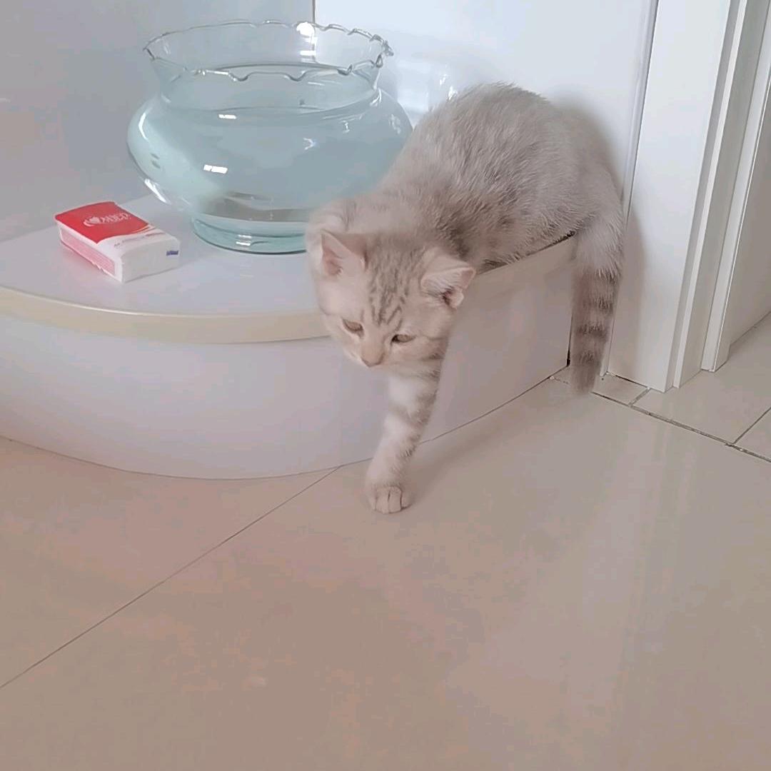 双
