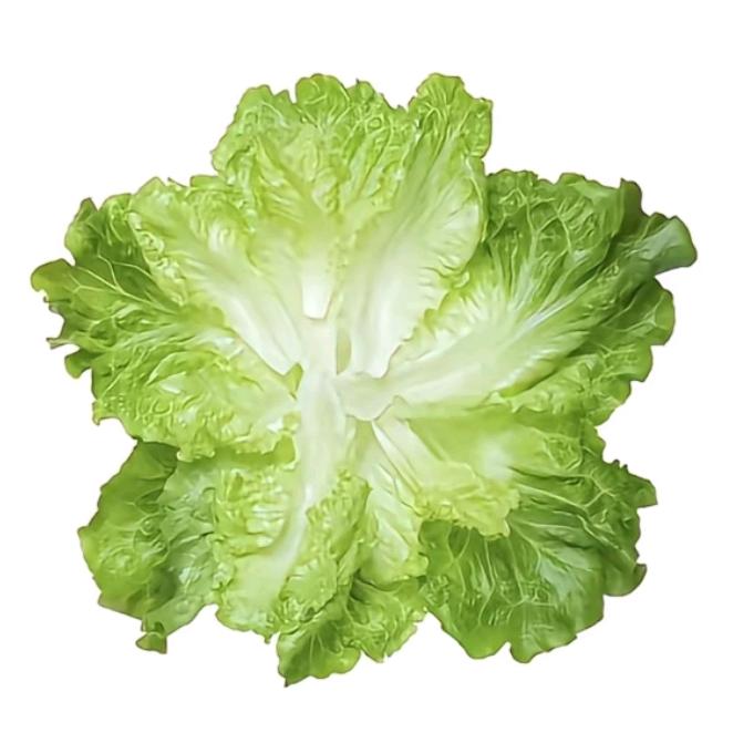 蒜蓉孬鼻嘎.   🍼