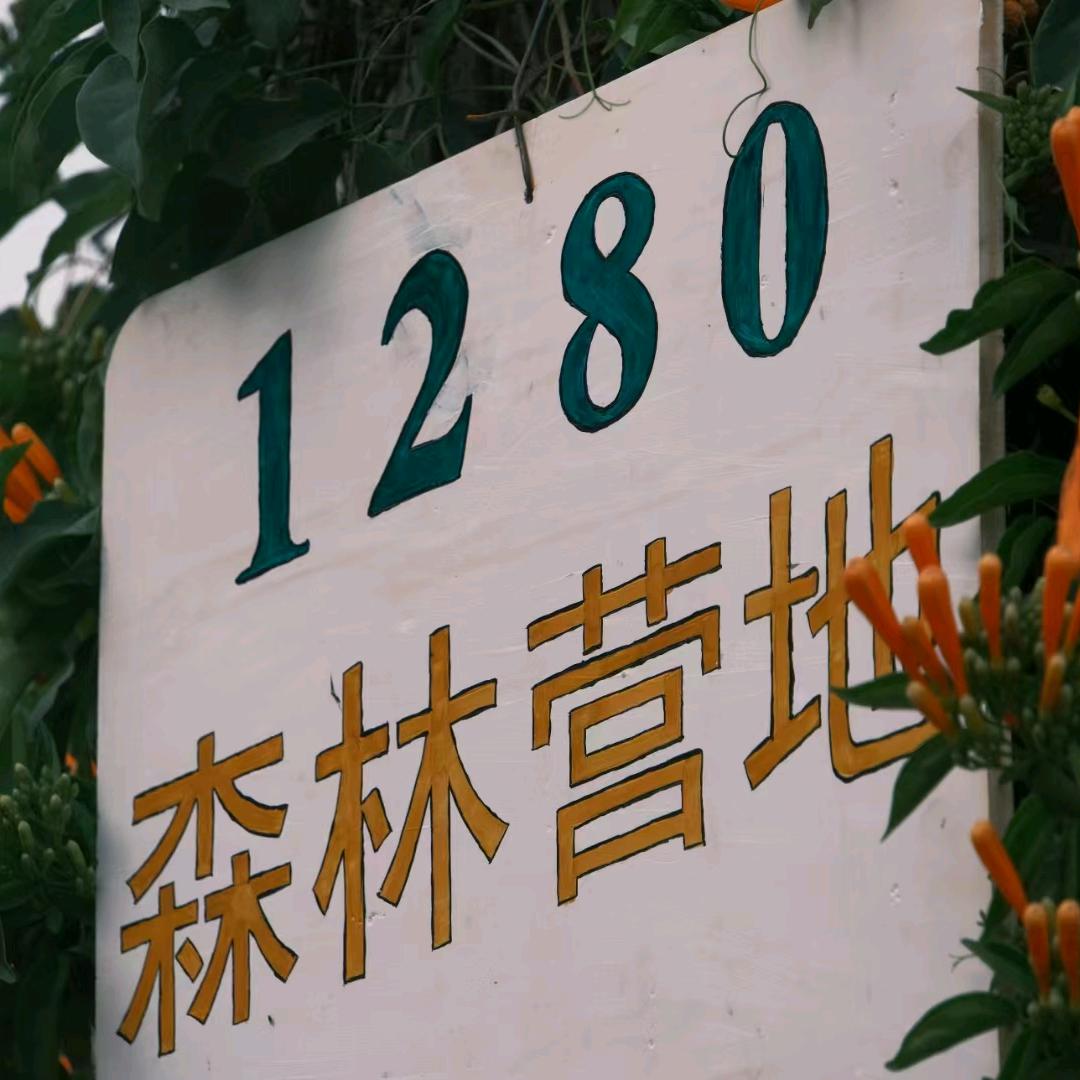 漠景苏