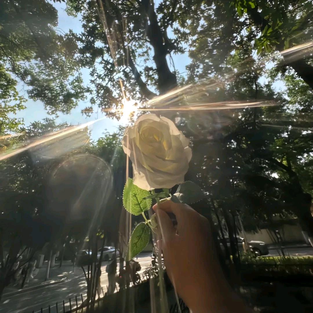 🍀熏衣草 🍀💋