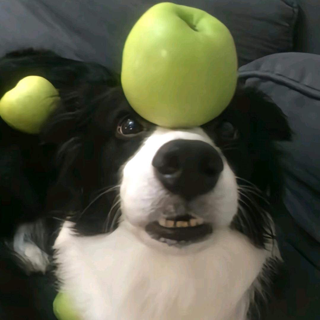 看我名字的是gay