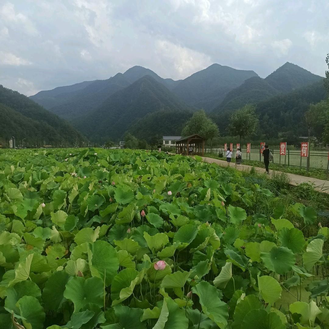 璟栋百货