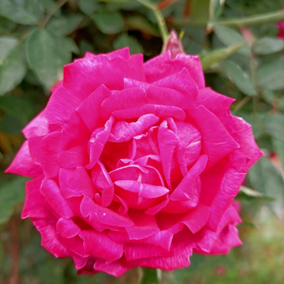 💰💰💰💰💰💰💰