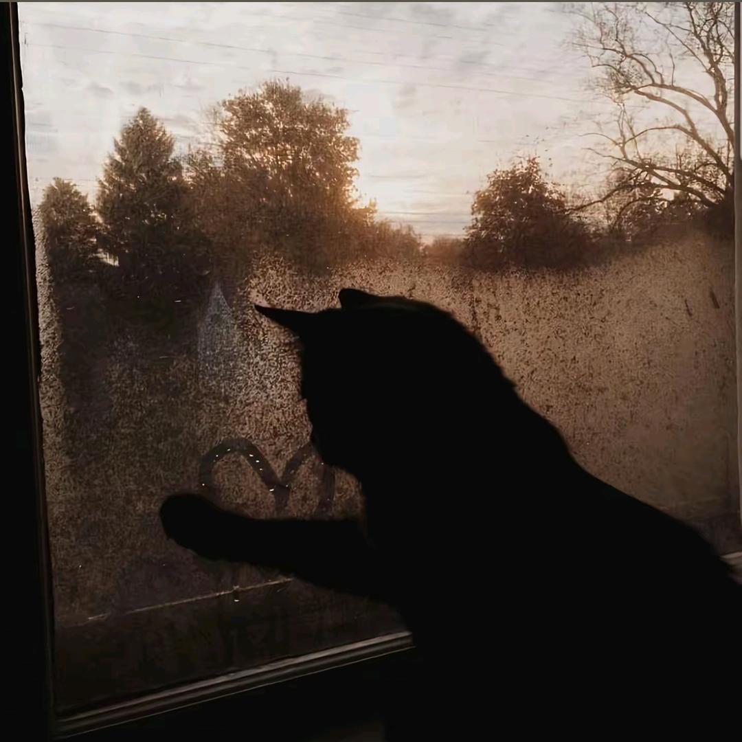 嬅.