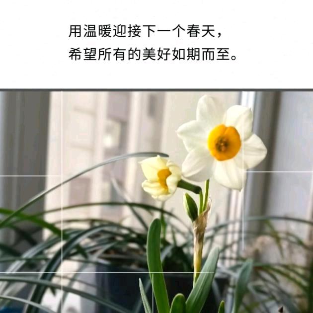 淡然