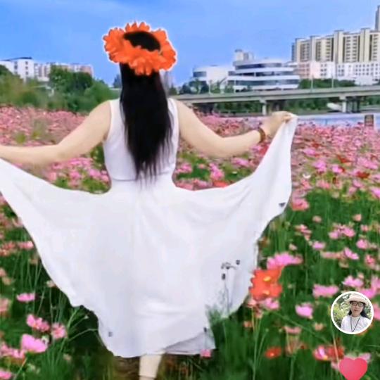 福来多