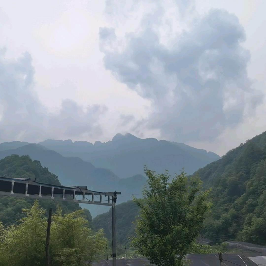 红梅农家 🌺徐漂亮