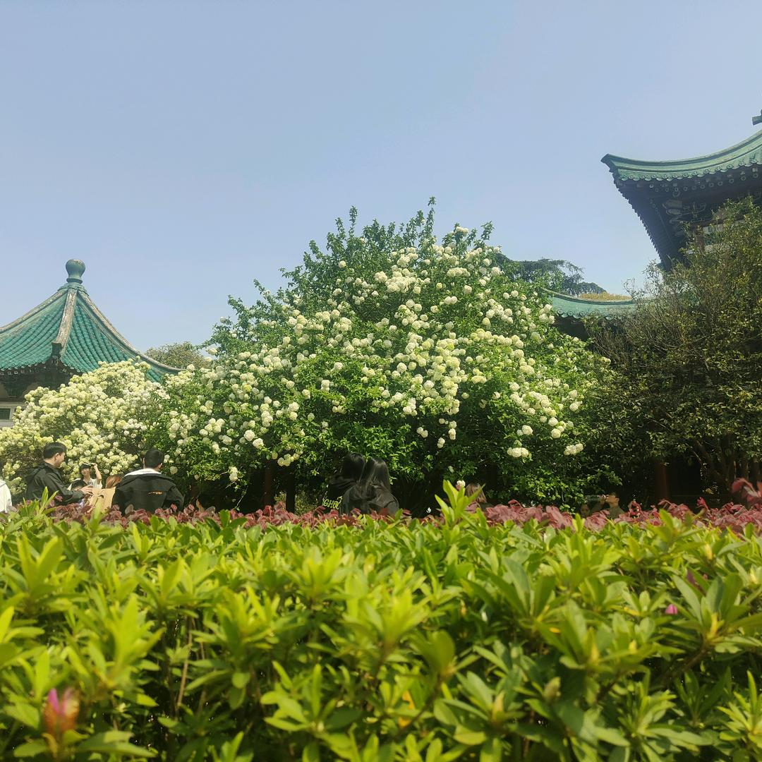 兵临城下