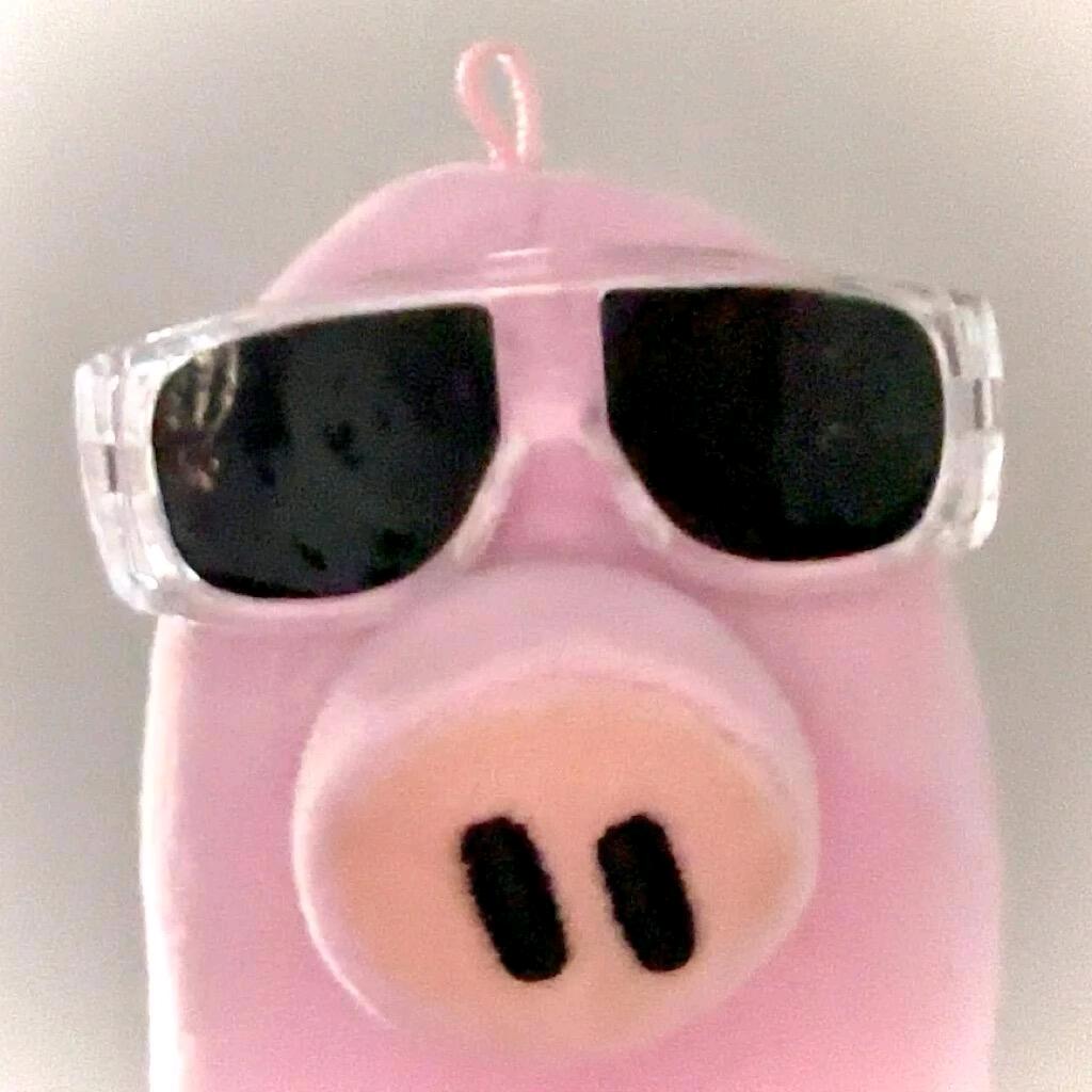 为妳提笔写温柔🧊