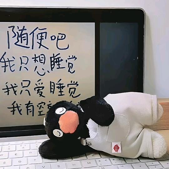 吃土豆长大的马铃薯