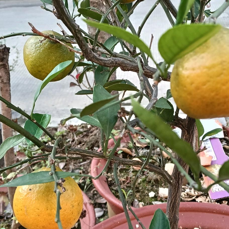 累了谁懂
