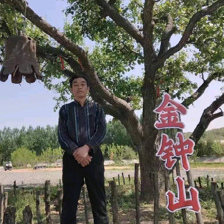 笨老头