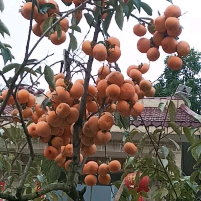 有缘相见