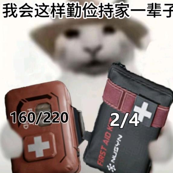 猫蝶电竞-招人状态