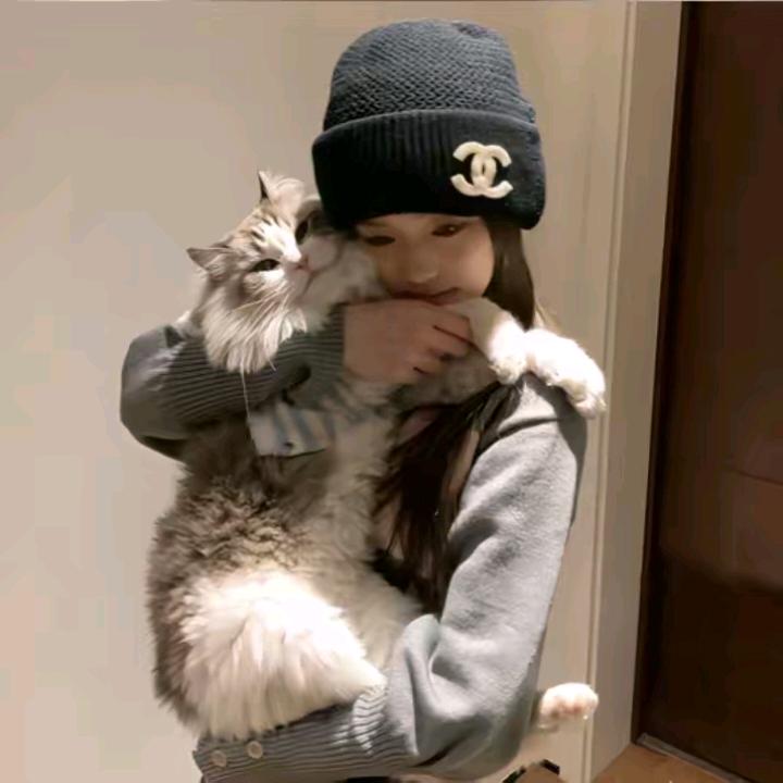 饼饼