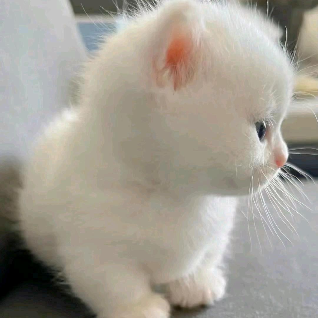 初识👀