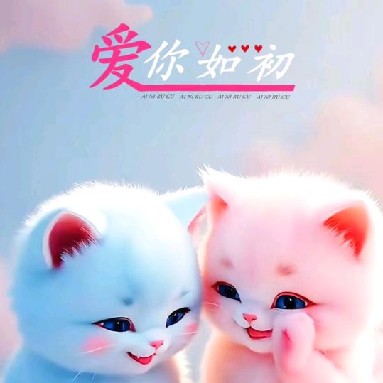 小懒猫