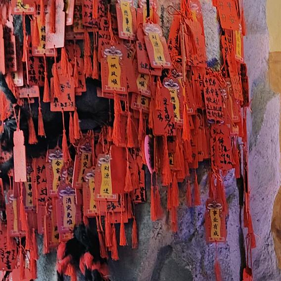 齐老师健康知识课堂
