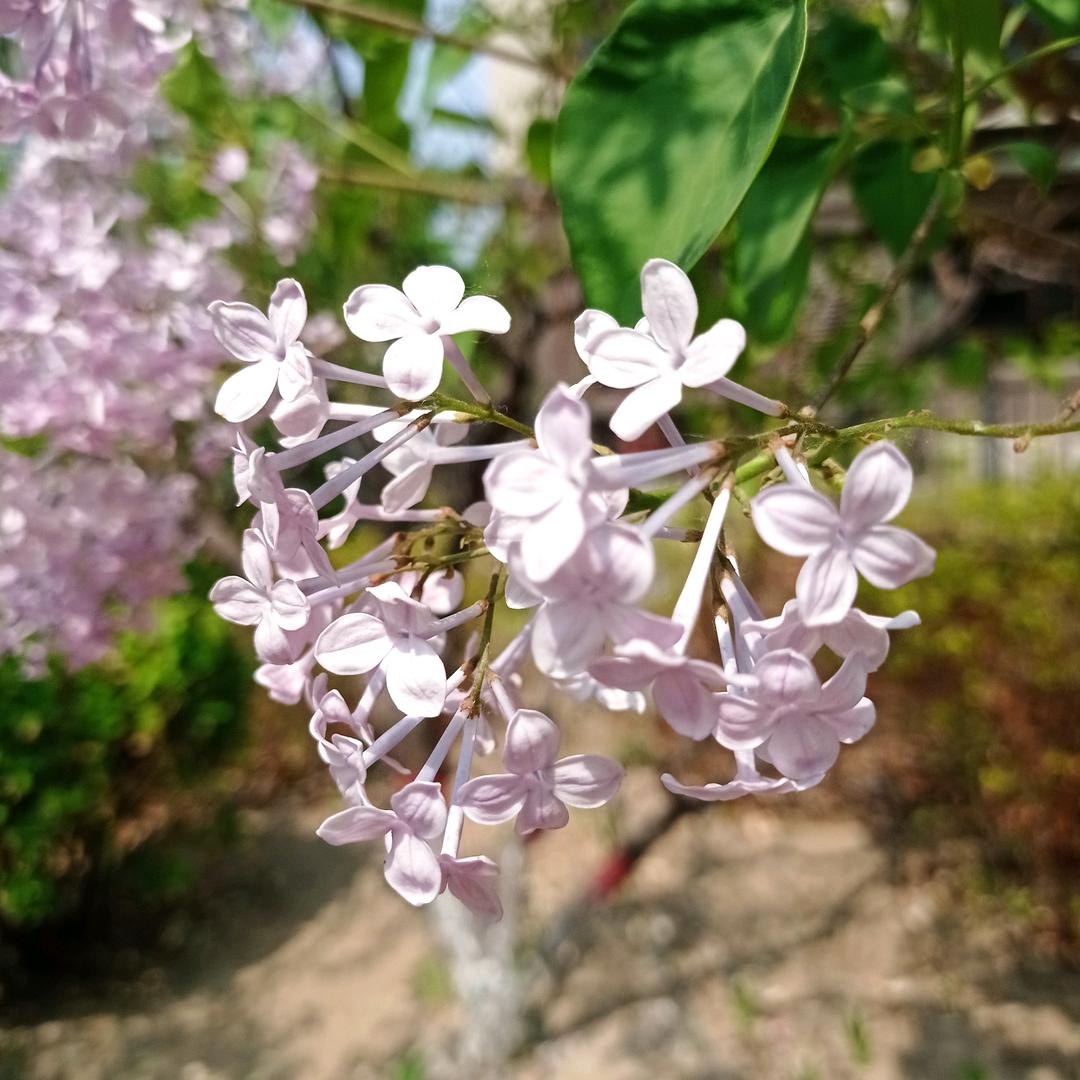 财森