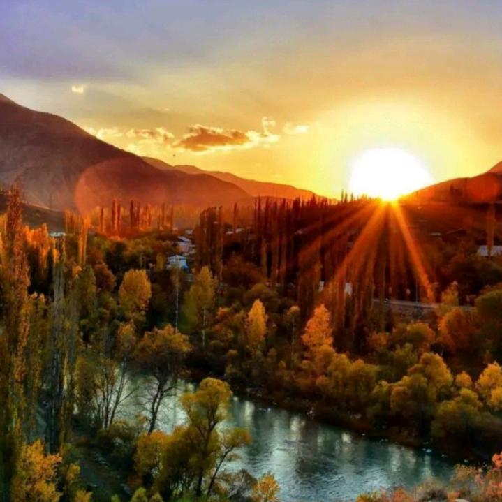 面包牛奶会有的