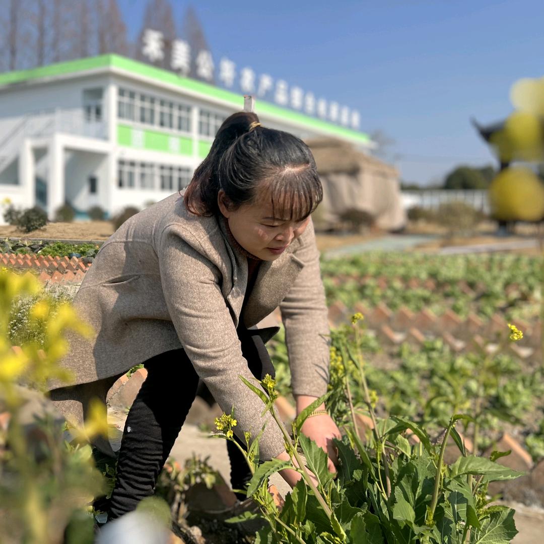 威廉奥莉外婆-生鲜直达