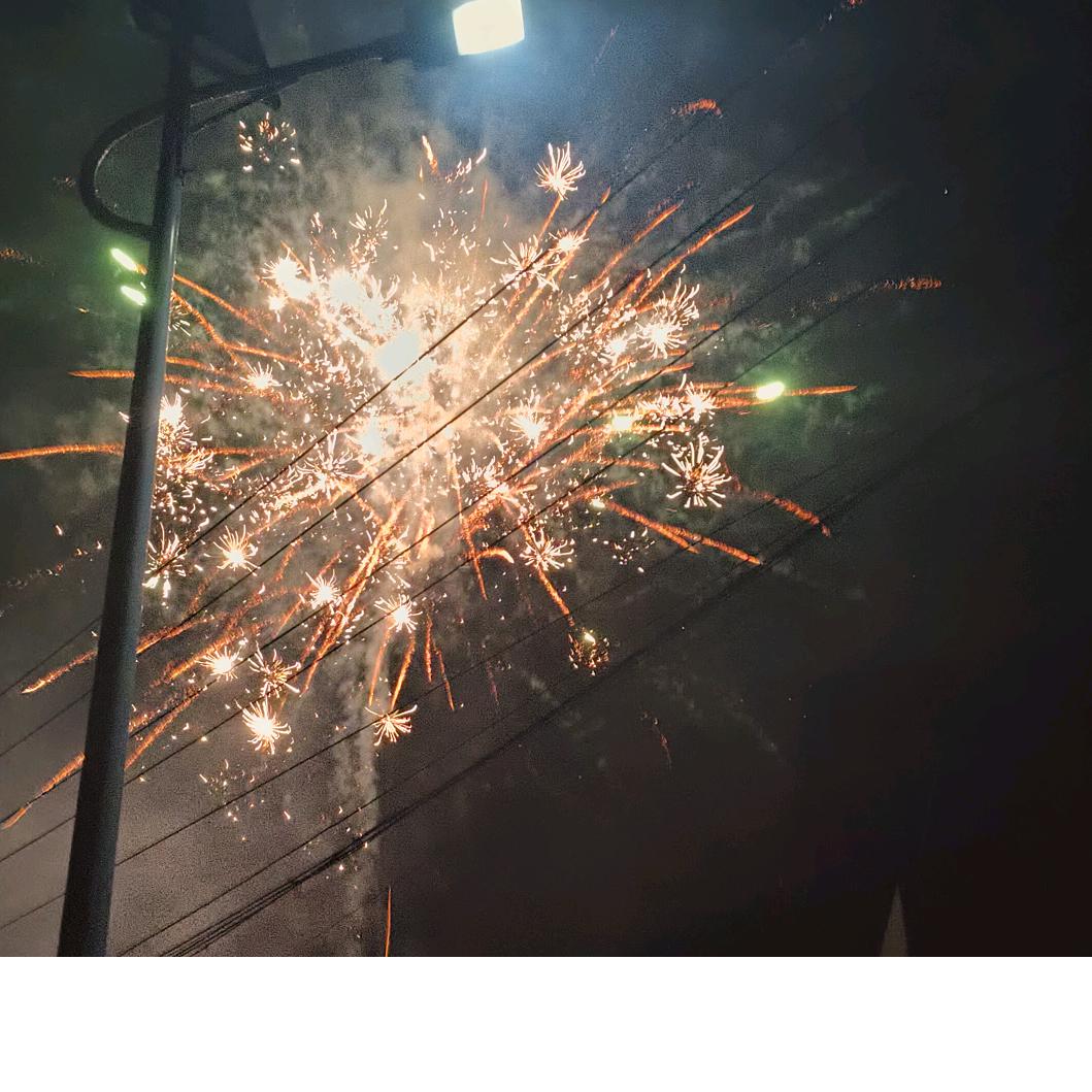 㞮Ꮚ･᷄ꈊ･᷅Ꮚ孞