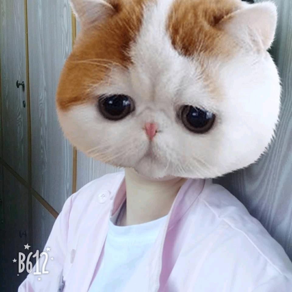 洪 小宝         ✨