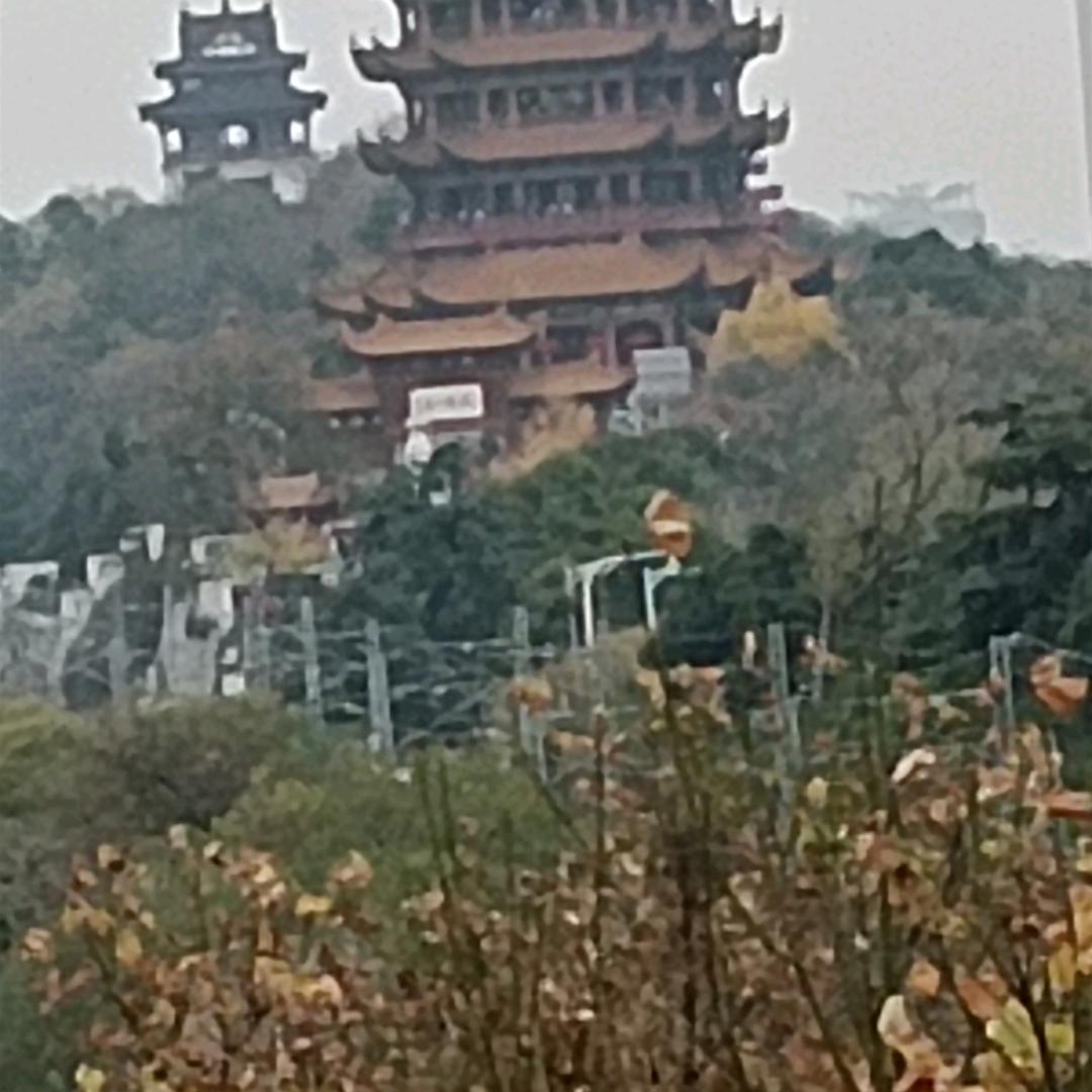陈华健