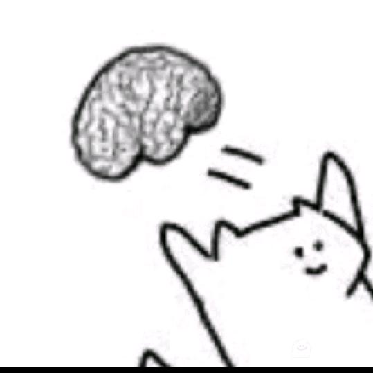 晓道