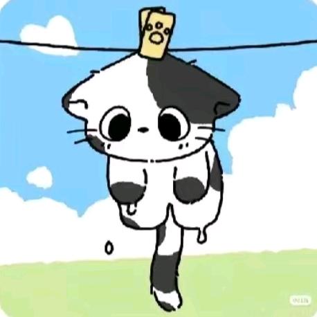 楘佰
