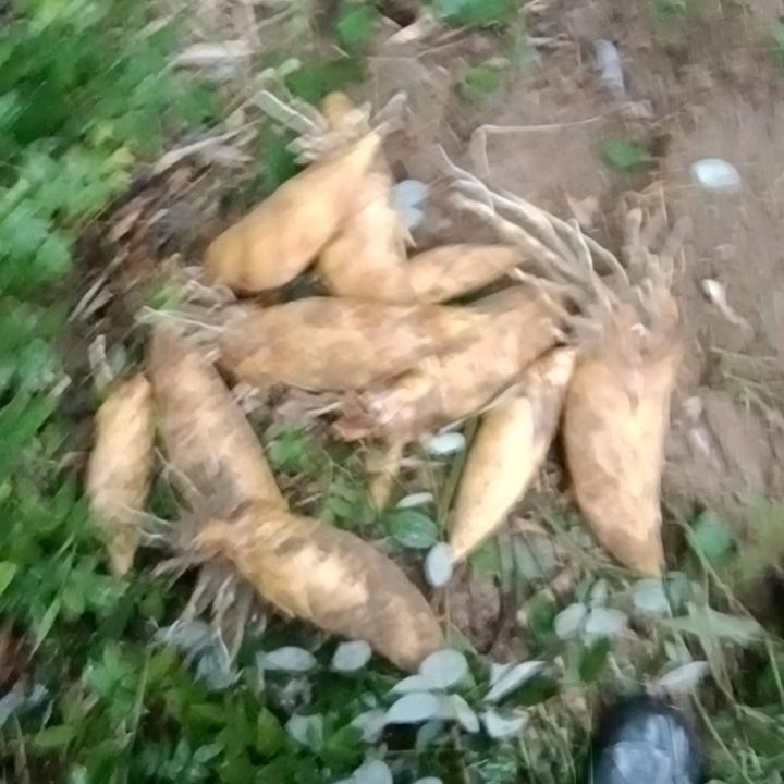 三两六