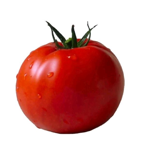 🍅洋柿子