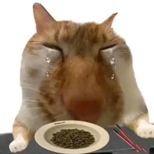 南天门首领（健身小白）
