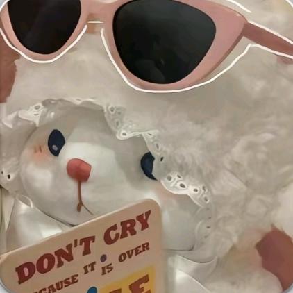 懒猫Hikoy
