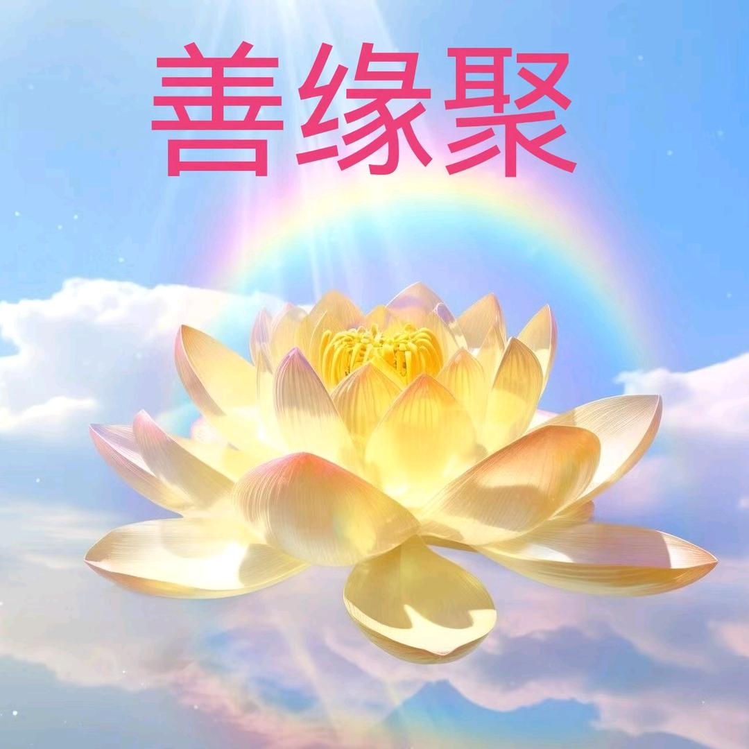 善缘聚