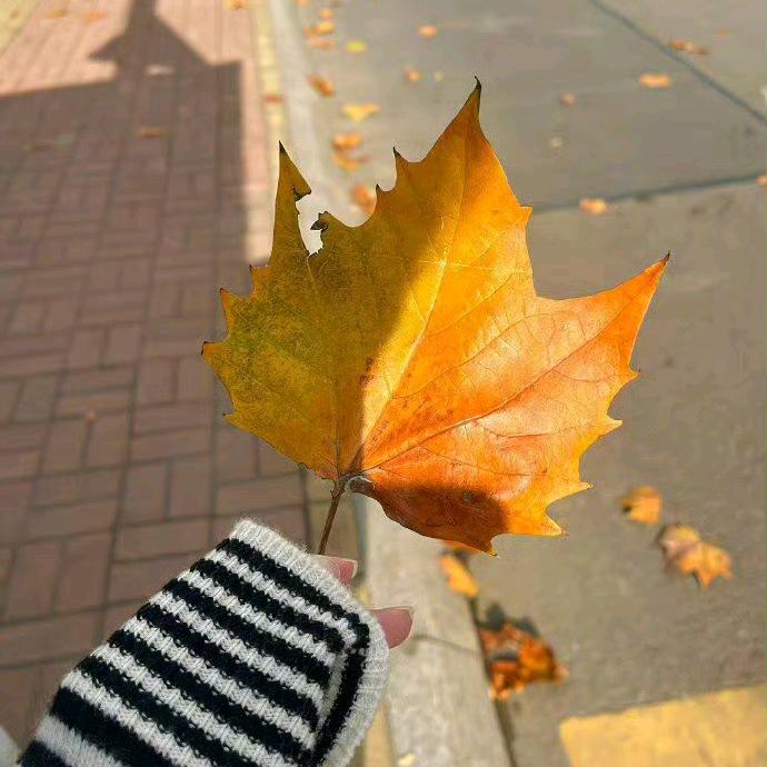 橘子🍊海～工艺品加工