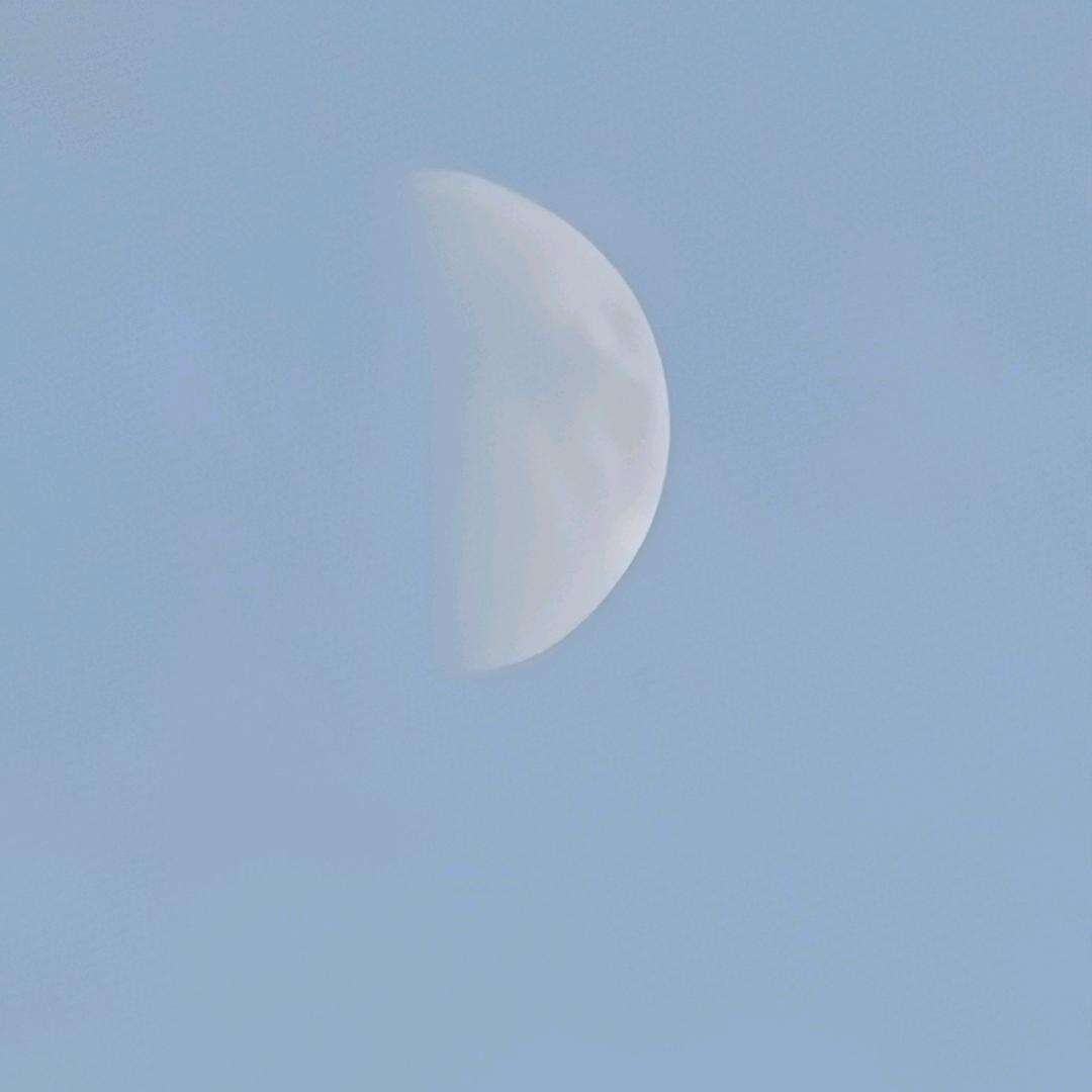 未问ꉂ ᳐˶ᵒ ᵕ ˂˶ ᳐ฅ