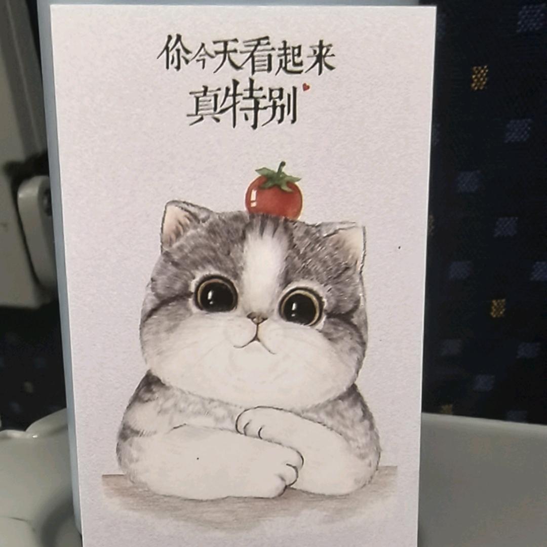 静心