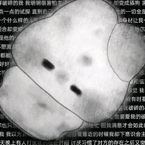 南鸢