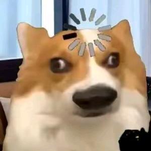 太棒了又活了一天。