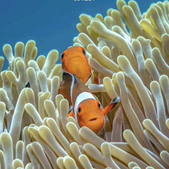 🌈*🌈哒哒发发猛踹瘸子那条好腿